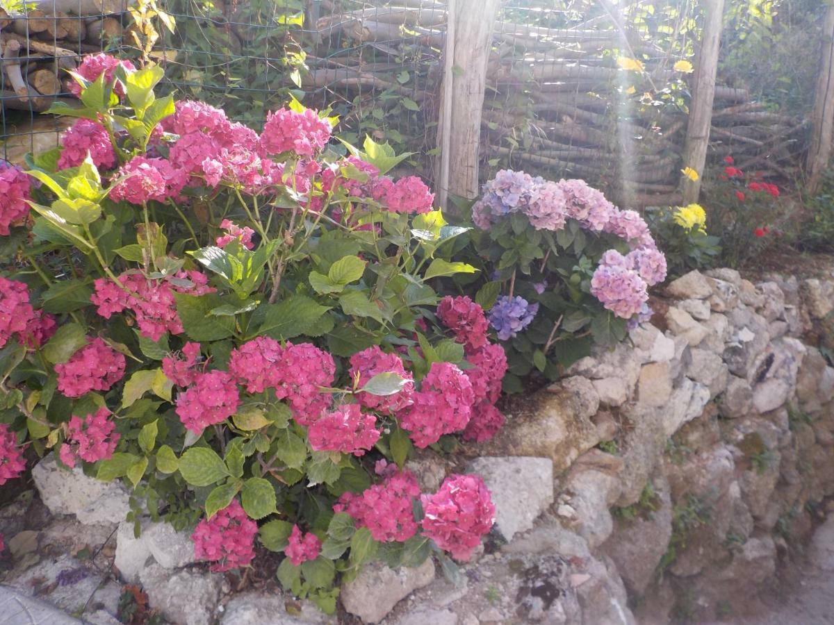 Il Paradiso Degli Dei 2 Agerola Bagian luar foto